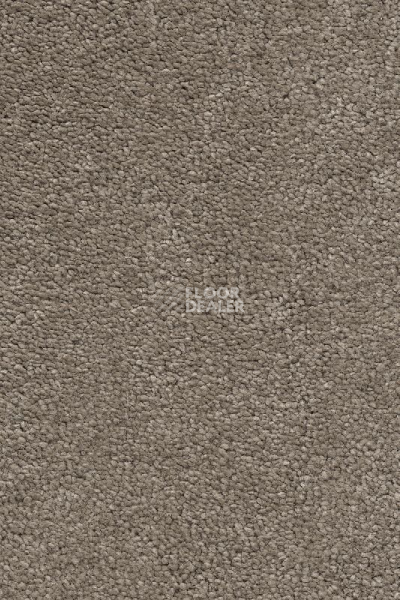 Ковролин AW Invictus Heroicus 37 фото 1 | FLOORDEALER